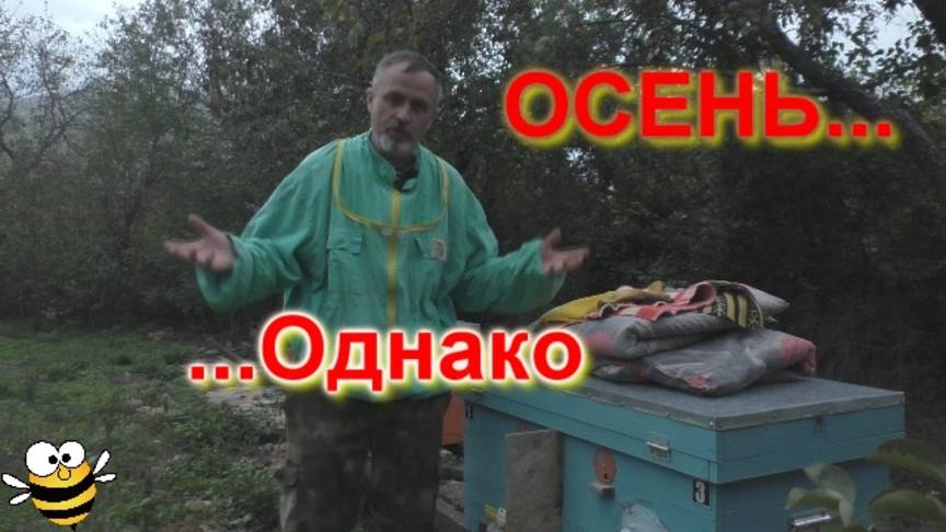 Осенние хлопоты на пасеке