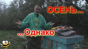 Осенние хлопоты на пасеке