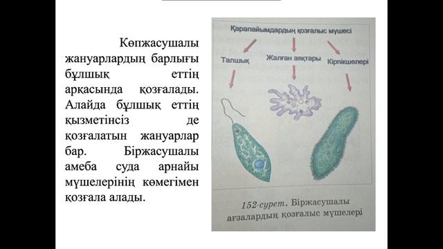 5-сынып. Жаратылыстану. Табиғаттағы қозғалыс