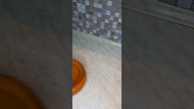 Когда одной тарелки мало. Рагу с овощами и шеей #Shorts Подпишись смотреть онлайн