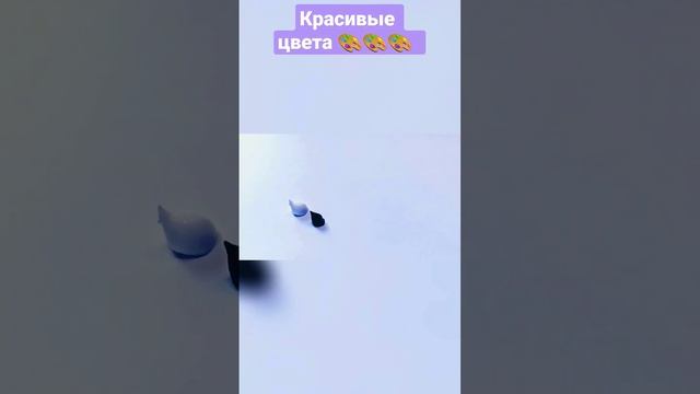 Художник Александра Миркушова
