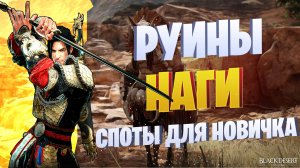 400кк+ споты для новичка ☛ Забытые Руины/ Пустынные Наги ☛ Black Desert