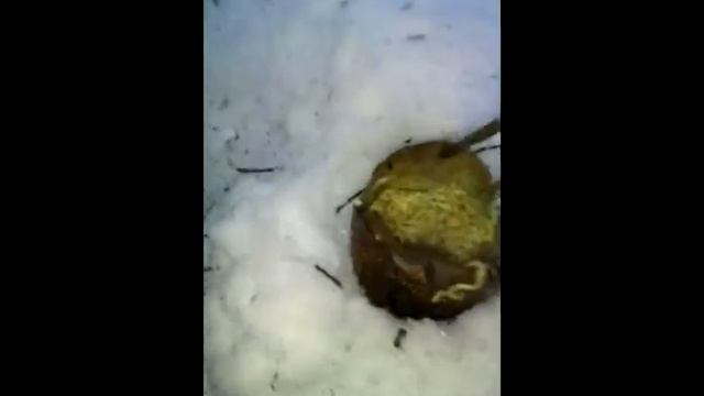 ДОШИРАК НА КОСТРЕ ! смотреть онлайн