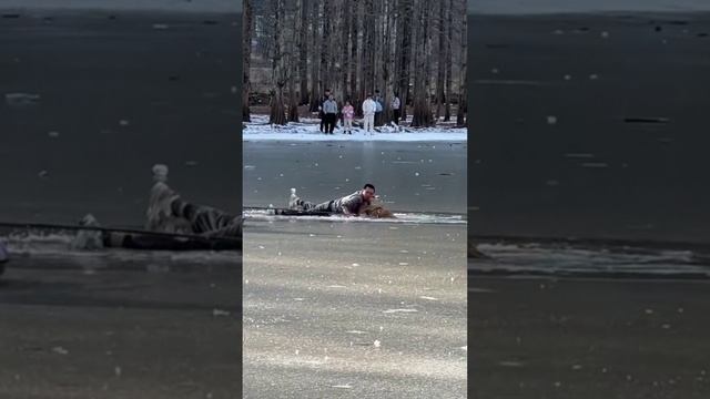 Спасение собаки в китайском городе Ханьчжун