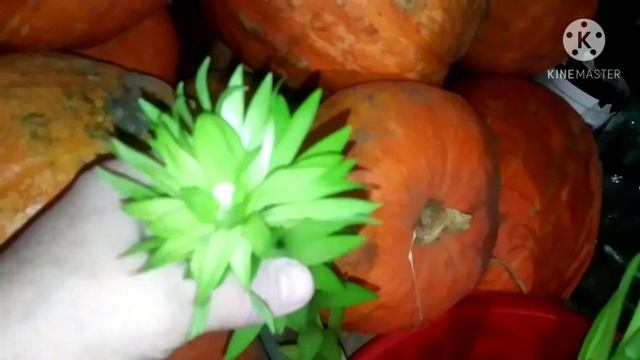 Пирожки с капустой.Лилии.Люська в пакете. смотреть онлайн