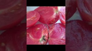 самый вкусный и крупноплодный  коллекционный томат🍅 для приготовления кетчупа и соков