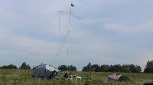 Полевой день — Языковский лес 22.07.2023