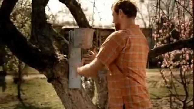 "Сливочные" - всем по вкусу. Качество "Останкино" смотреть онлайн