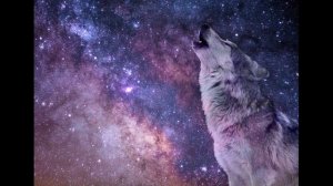 Дмитрий TV. Клип «Я Не Могу Тебя Делить, Пойми, Я Больше Не Могу...».