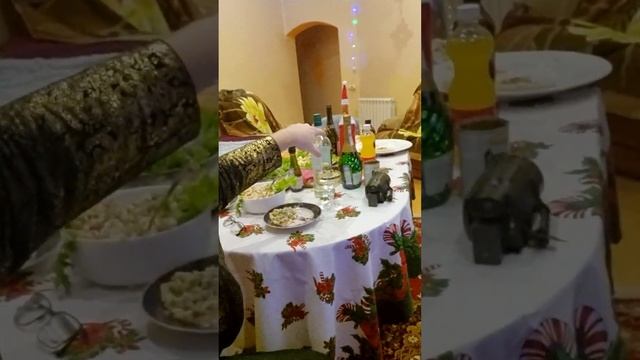 Новогодний стол в ожидании 2024 года #shorts #юртв #новыйгод смотреть онлайн