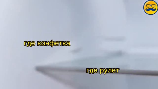 Песня про покупки в холодильник. #познаватель #песня #пародия #субтитры @ThePoznavatel смотреть онлайн