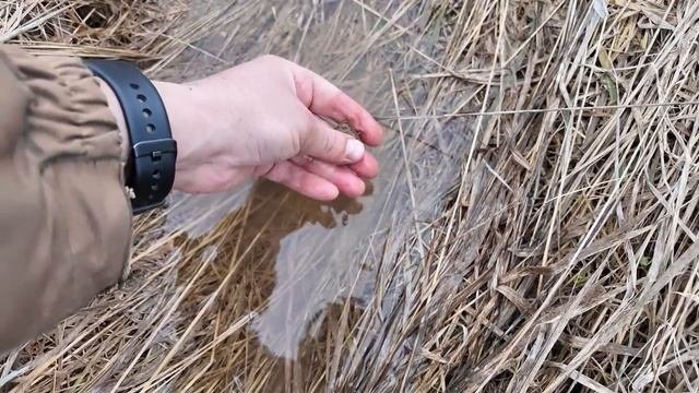 СМОТРИТЕ ЧТО Я НАШЁЛ! Редкая находка. Металлоискатель сходит с ума от сигналов!