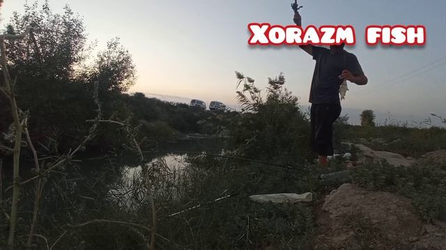 "ЭШМЖРАН ЗЕКАШ"#КАРАС+КАРАС#гурлан #хоразм #карас смотреть онлайн