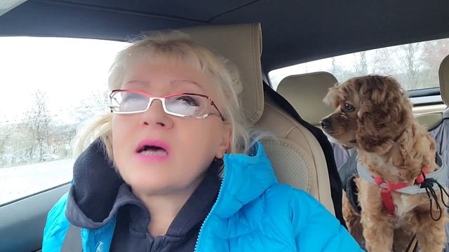 АМЕРИКАНКА УЧИТ, КАК ВЫЖИТЬ В США//ТВОЙ ДОМ И ДВОР-ИМЕЙ ЗАЩИТУ//МОНСТР НЕ ОЖИДАЛ#АДАПТАЦИЯ_США# смотреть онлайн