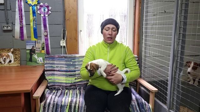 Вольеры и клетки
