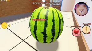 Я СТАЛА ЖИВЫМ ФРУКТОМ ! ИГРАЕМ В ПРЯТКИ НО МЫ ПРОДУКТЫ В РОБЛОКС!