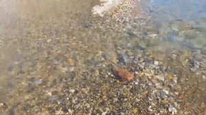 7 апреля. Набережная Архипо-Осиповка.