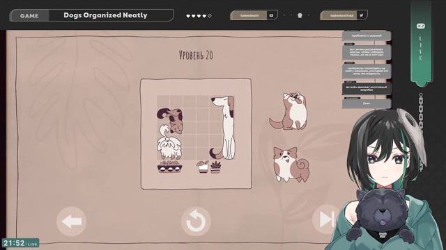 【Dogs Organized Neatly】DOOOOOOOOOOGS!