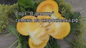 Вкусный урожайный жёлтый скороспелый сорт томата "В десятку". Прекрасно плодоносит. Его семена у нас