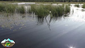 2024 Пяозеро  Семейный выезд ч.3