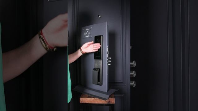 Биометрический врезной дверной замок Smart lock Замок DZ011B