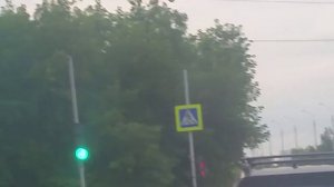 Приключение голубя.