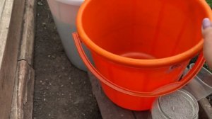 КАК ПРИГОТОВИТЬ НАТУРАЛЬНЫЕ ПОДКОРМКИ! ТРАВЯНОЙ НАСТОЙ, КУРИНЫЙ, ЗОЛЬНЫЙ И КОРОВЯК
