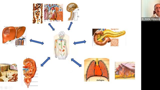 Apitherapy against Lyme disease (July 2, 2021) смотреть онлайн