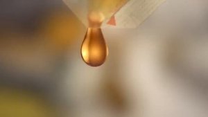 Роллтон везде свой!