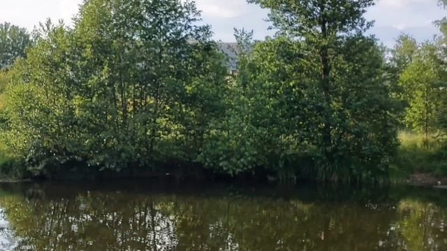 УЖАСЫ ДЛЯ РЕБЁНКА! VREDINA LIFE. ОБЗОР. смотреть онлайн