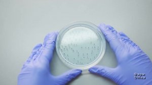 Метилурацил з мірамістином. Мазь яка швидко заживляє рани.