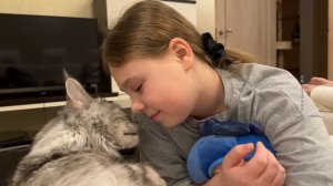 Любовь и дружба: мейн-кун и его юная хозяйка💙🩷