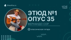 Этюд №1, опус 35, Фернандо Сор (гитара)