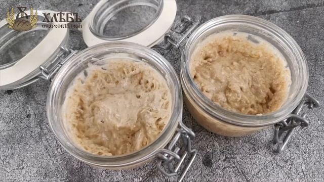 Пшеничная закваска 10 день