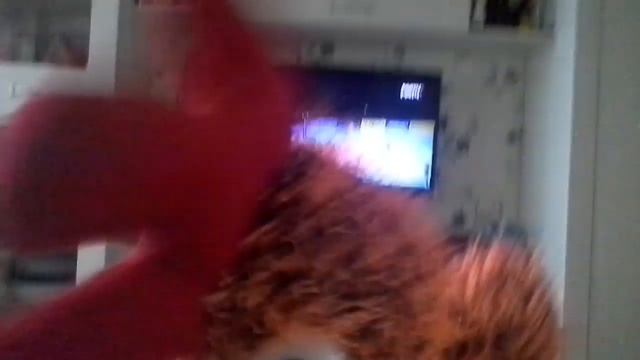 Охренеть видео/топ/про баскет/СМОТРИТЕ все/ЛОЛ КЕК ЧЕБУРЕК!!??!!? смотреть онлайн