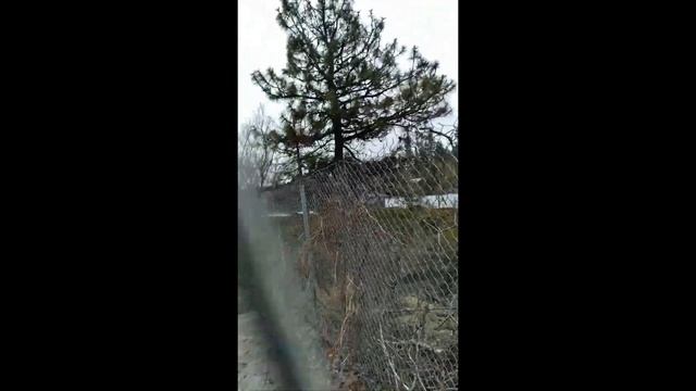 Incel Singing Cringe ft. Lucas Werner смотреть онлайн