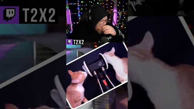 АСМР от Котов 🐾✨ - #t2x2 #т2х2 #антоша #twitch #твич #shorts #юмор #мем #мемы #асмр