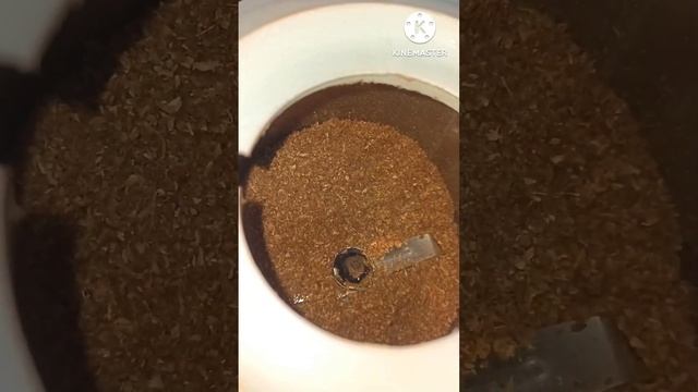 How to make Coriander Powder At Home#Dhaniya powder #deliciousfoodbysuchitra#shorts смотреть онлайн