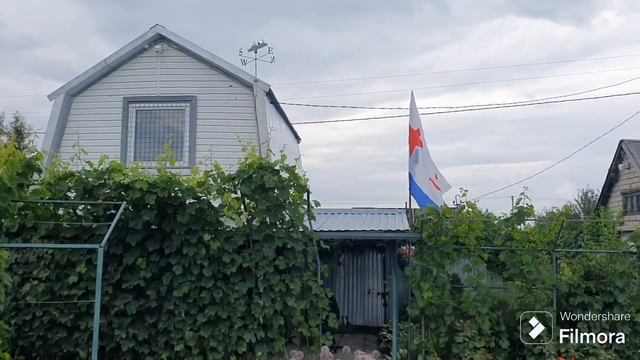 264. Черная пятнистость на розах. Обрезка смородины.