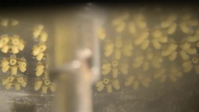 Можно смотреть бесконечно смотреть онлайн