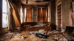 PRO-SANATIO. Программа фитосанации.