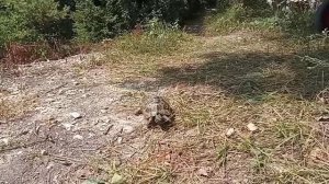 1. Зороастрийский ритуал Авесты на Равноденствие 21.09.22.   2.Наша работа по Экзорцизму 2022