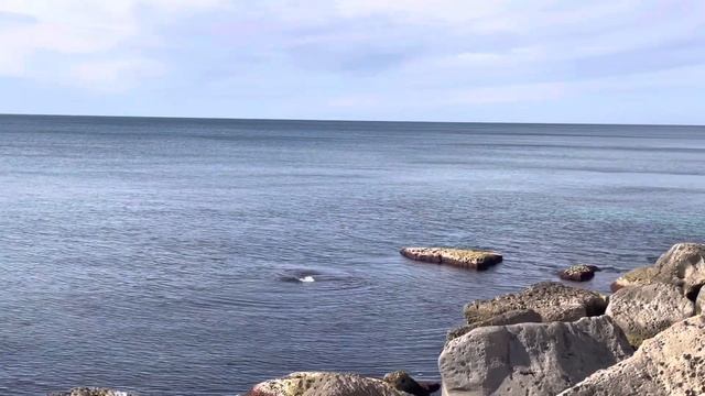 В гостях в Казахстане. Курортный город Актау. Приветливые люди смотреть онлайн