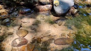 Заводь на ручье