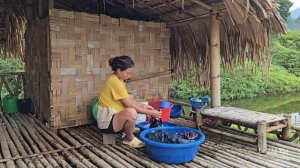 What happens to a 9-month pregnant woman - Will the doctor arrive in time to save her? Le Thi Vui