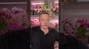 тройняшкин ПАПА в прямом эфире!