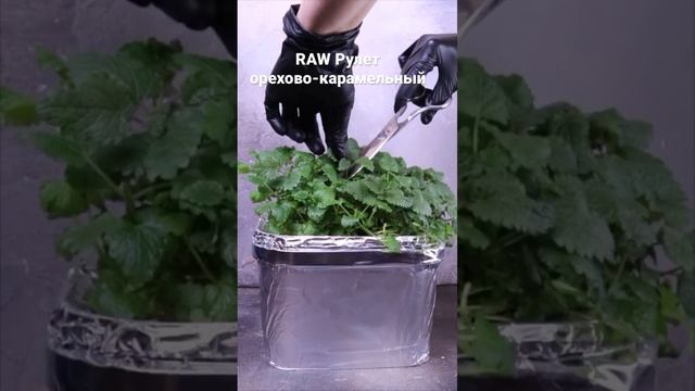 RAW Рулет орехово-карамельный. Заказать с доставкой по Москве https://e-d-y.ru смотреть онлайн