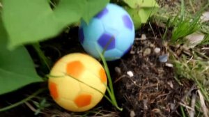 Mencari Bola Bola Besar, Bola Sepak, Bola Basket, Bola Karet, Bola Bintang, Dinosaurus, Keranjang