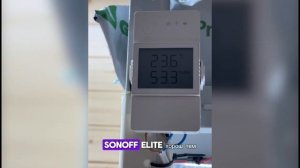 20 дней от посева клубники из семян