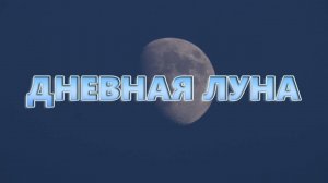 Дневная Луна. Движение Луны по дневному небу.